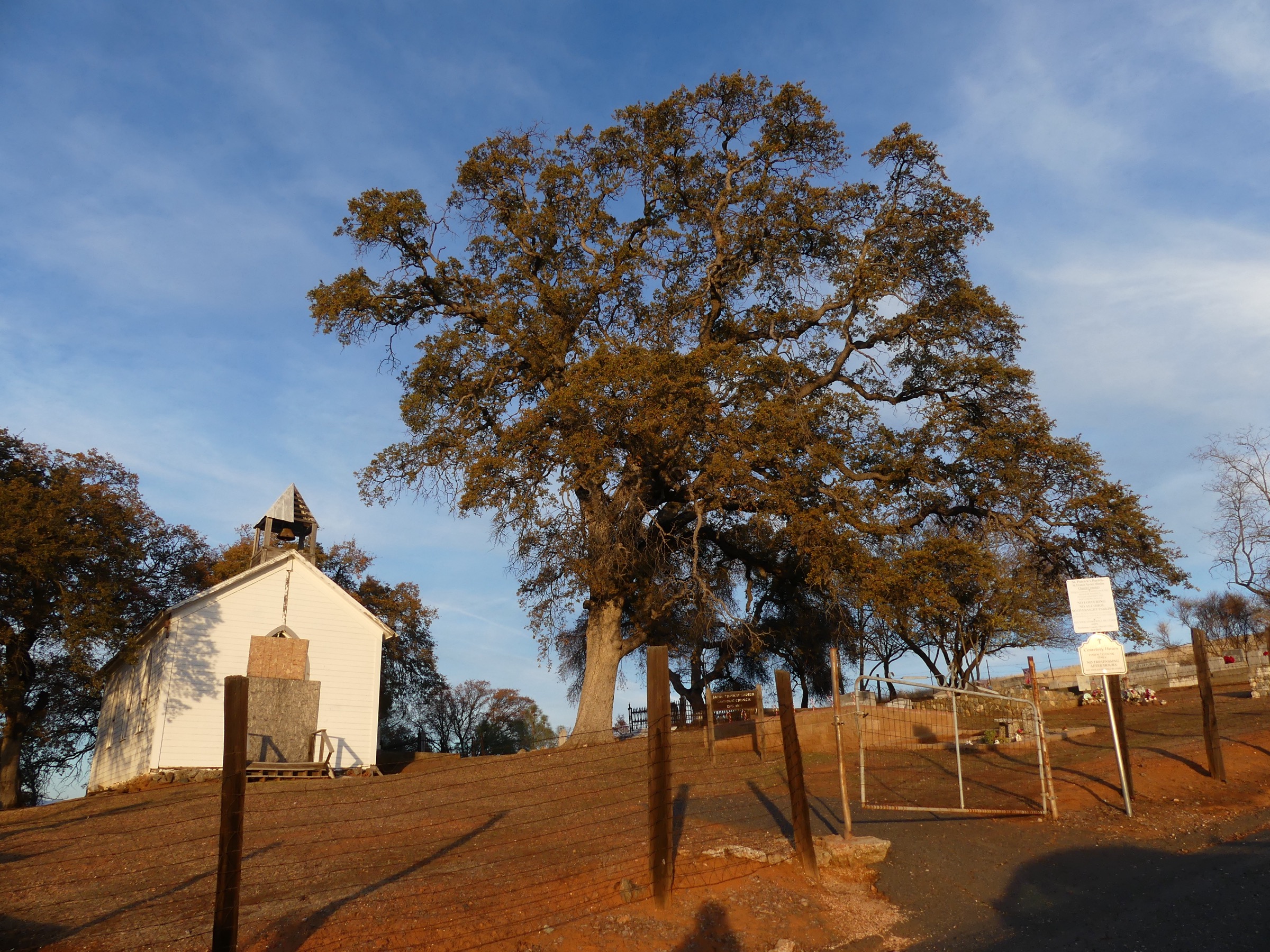The white wooden St. Francis Xavier Church of 1854 beside a large oak at sunset, Chinese Camp