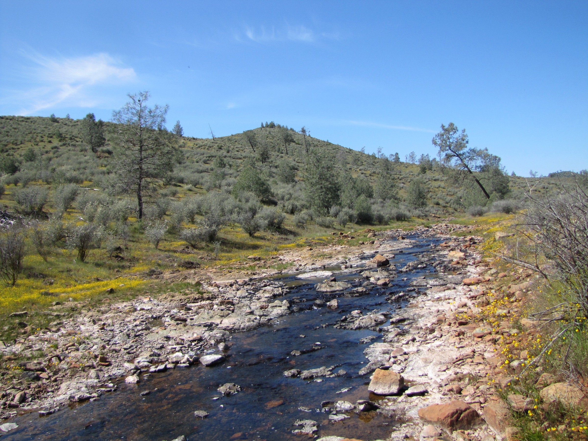 Creek bed and serpentine hills with foothill pines in the Red Hills Recreation Management Area near Chinese Camp
