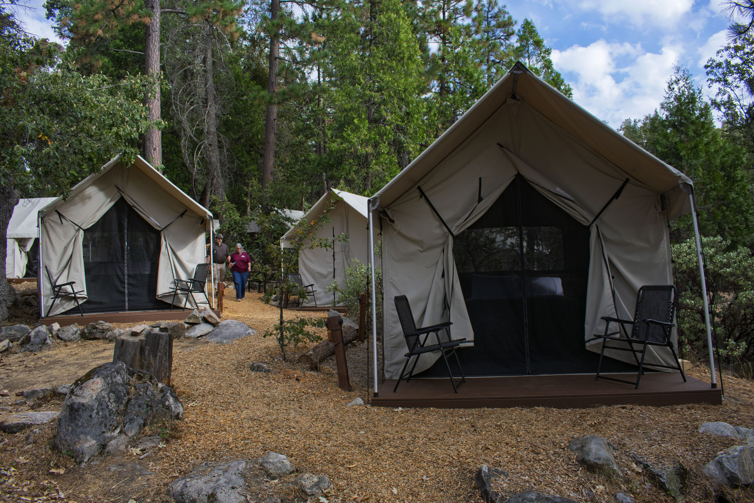 Canvas tent cabins on wooden platforms among the pines at Evergreen Lodge